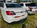 2019 Ford INTERCEPTOR SUV AWD / 195104 - LOT72 - NR
