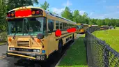 2009 Blue Bird Bus