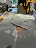 2005 Ford Dump