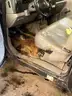 2005 Ford Dump