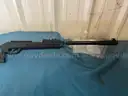 GAMO SWARM .177 AIR RIFLE