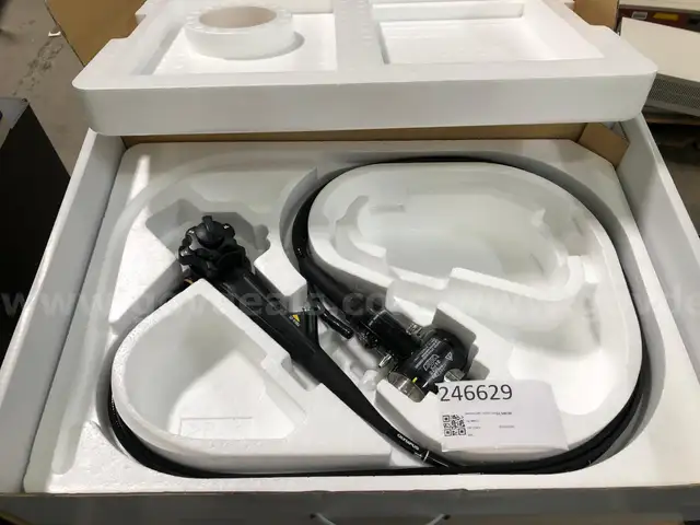 ENDOSCOPE: VIDEO, GASTROSCOPE