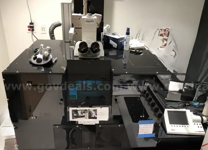 MICROSCOPE: CONFOCAL MULTIPHOTON IMAGING