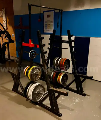 Free Weight Rack and Assorted Plate Weights