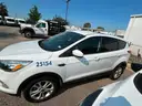 2019 FORD  ESCAPE  Unit 25154 ( Needing Engine Replacement) Vehicle Does Run and Drive
