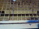 Meyer 1 yard truck sander