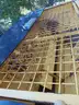 Meyer 1 yard truck sander