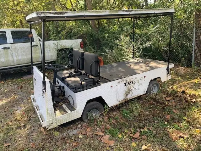 Electric Golf Cart B-820A