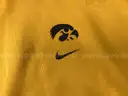 3XL Gold/Black Nike Iowa Sideline Pullover Hoodie