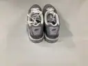 Wolf Gray Nike Air Max LTD 3 TXT Shoes