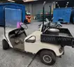 **** E.Z. GO TEXTRON GOLF CART **** (Y)
