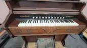 **** THE BELL ORGAN & PIANO CO. ANTIQUE PARLOR PEDEL ORGAN **** (I)