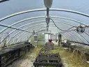 Greenhouse
