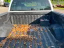2008 Ford F-150