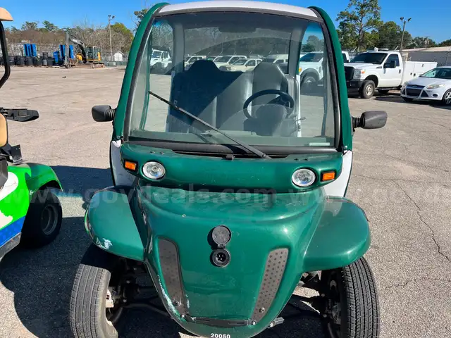 2009 GEM E2 CART