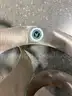 Spiral Art