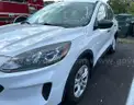 2021  Ford escape  No Title parts only vehicle