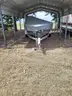 Boat, Motor, &#x26; Trailer