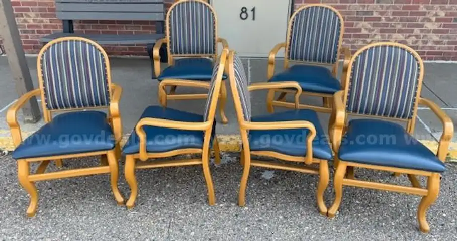 6 Dining Chairs