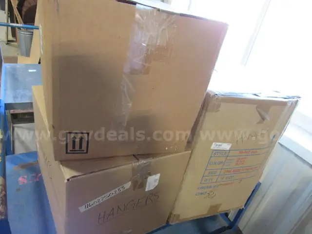 3-Big Boxes of Wire Hangers