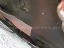 Rear-Mounted Mower
