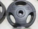 Weights (FS)