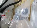 Laboratory Equipment (D)