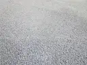 Blue Area Rug with Pad (I)