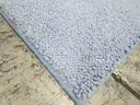 Blue Area Rug with Pad (I)