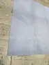 Blue Area Rug with Pad (I)