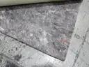 Blue Area Rug with Pad (I)