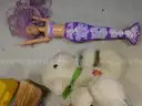 Toys &#x26; Painting (FS)