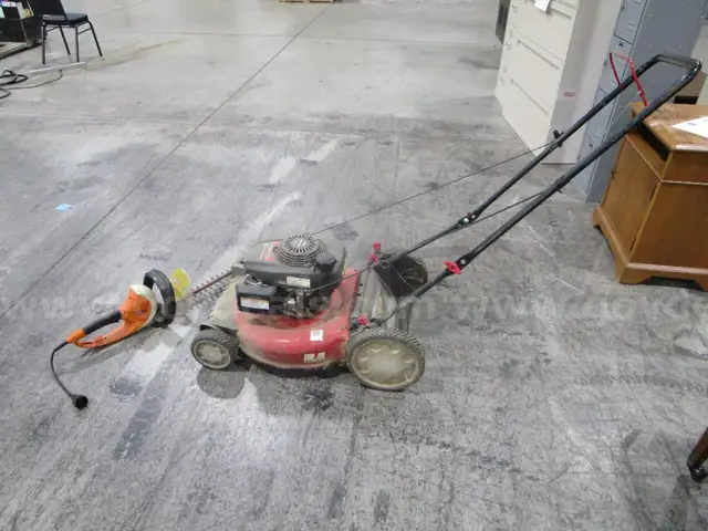 Lawnmower & Hedge Trimmer (C)