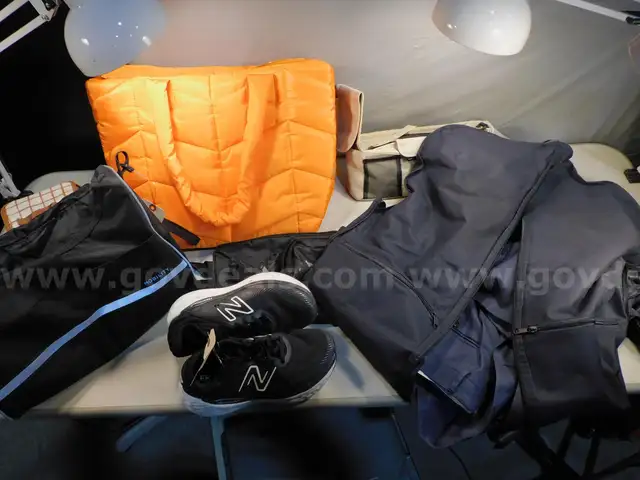 Bags, Suit, and Shoes (FS)