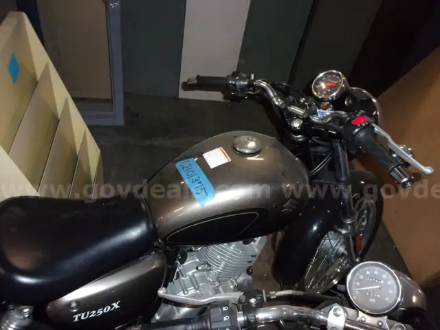 2012 Suzuki TU250X - 101375