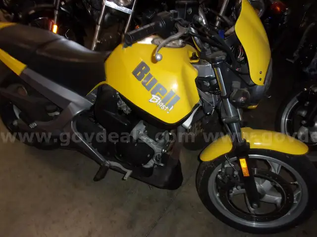 2001 Buell P3 - 503174