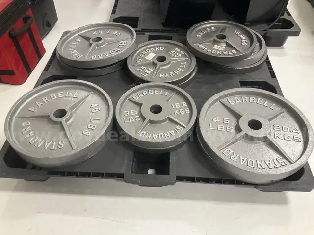 LOT of Barbell Standard Weights