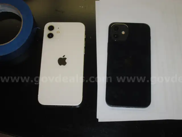 A lot of two I Phone 12