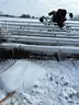 Grandstands &#x26; Bleachers