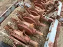 Aerator
