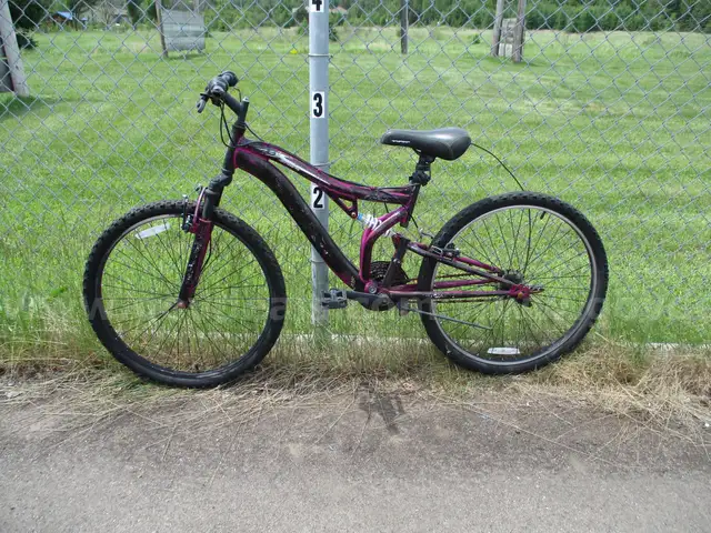 Bicycle, purple bike repainted black