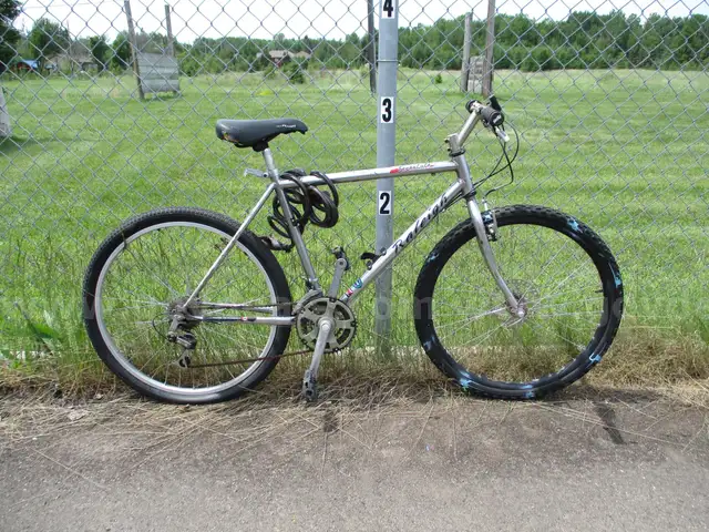 Bicycle