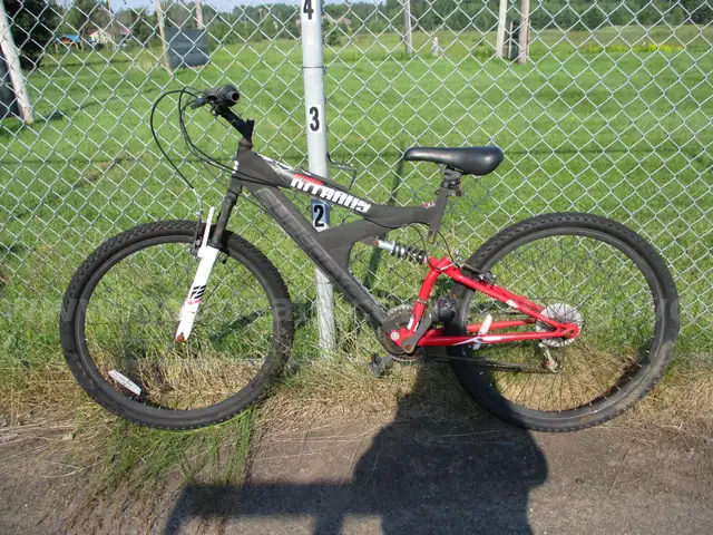 Bicycle