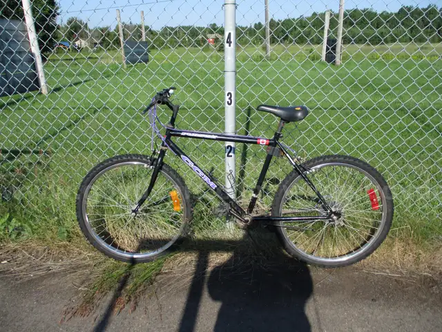 Bicycle