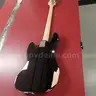 BASS with grey and black Profile carrying case