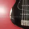 BASS with grey and black Profile carrying case