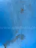 SR Smith Vortex Pool Slide, Full Tube with Staircase, Blue