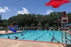 Minnow Slide Portable Pool Slide