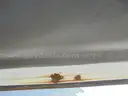 Cargo Van