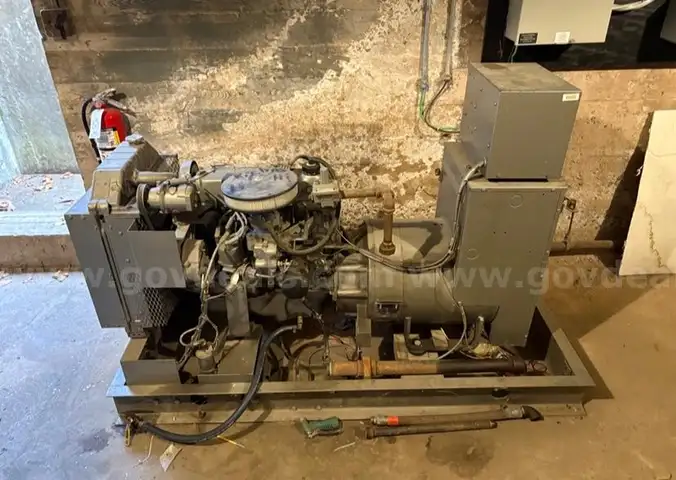 Winco Natural Gas Generator